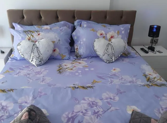 Antonia Alezzi Navodari