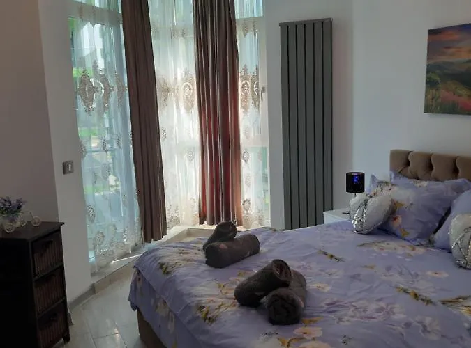 Daire Antonia Alezzi *