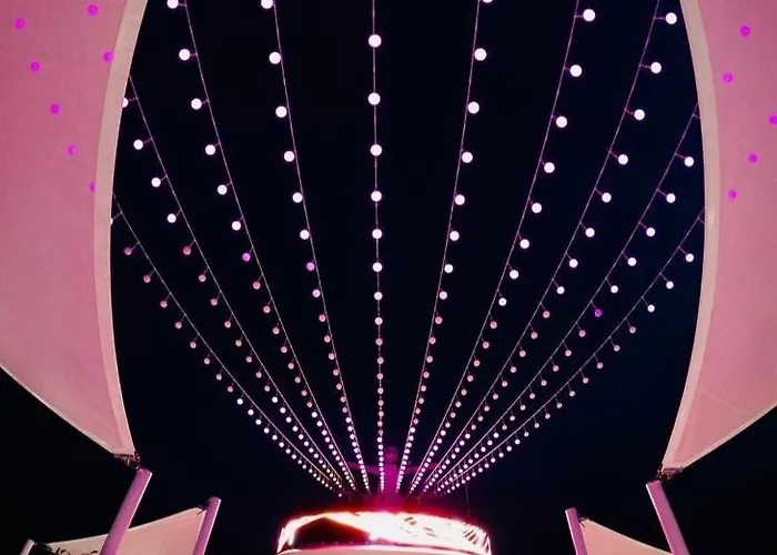 Daire Antonia Alezzi