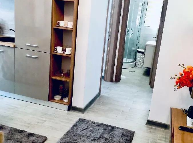 Antonia Alezzi Daire Navodari